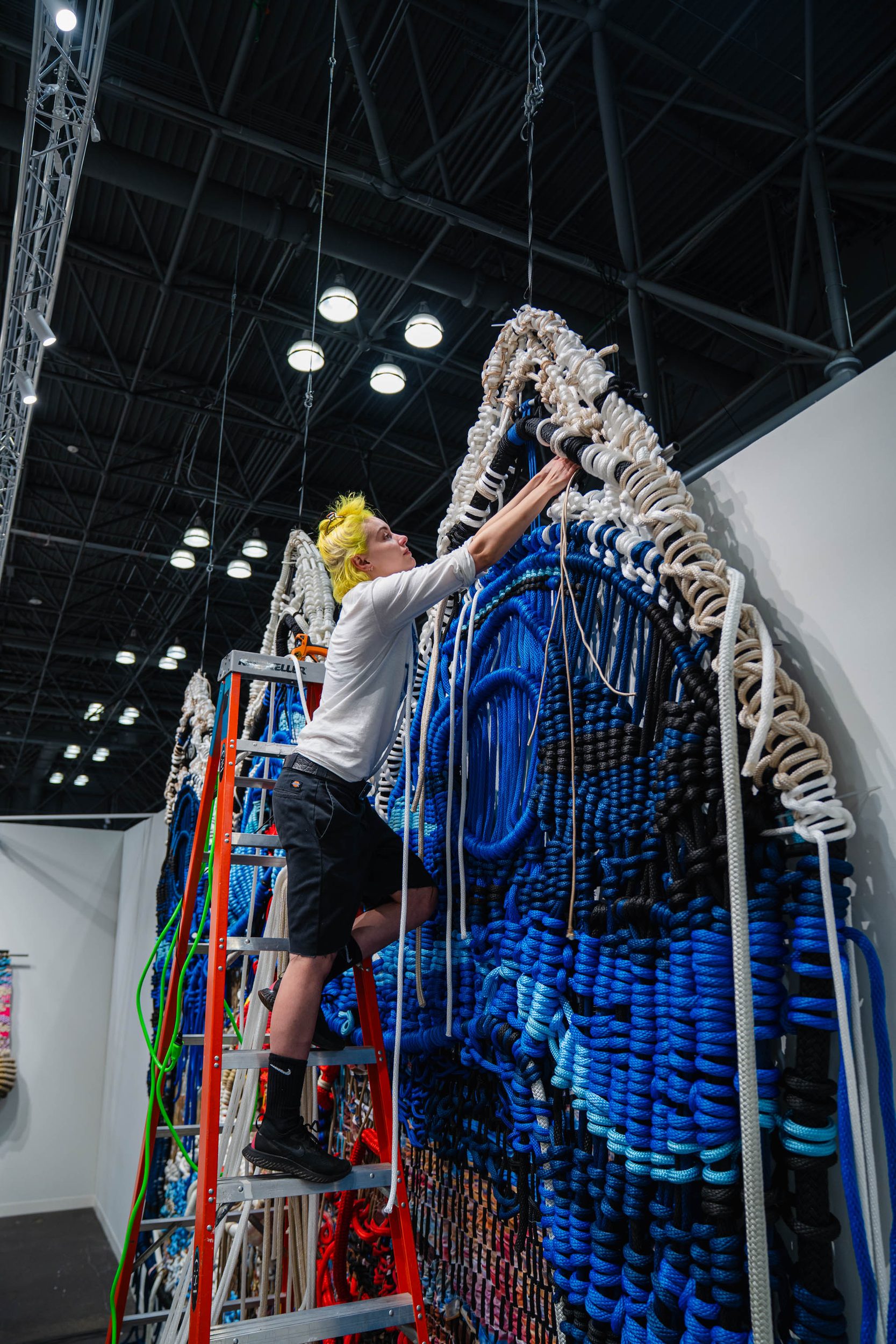 The Armory Show (46)