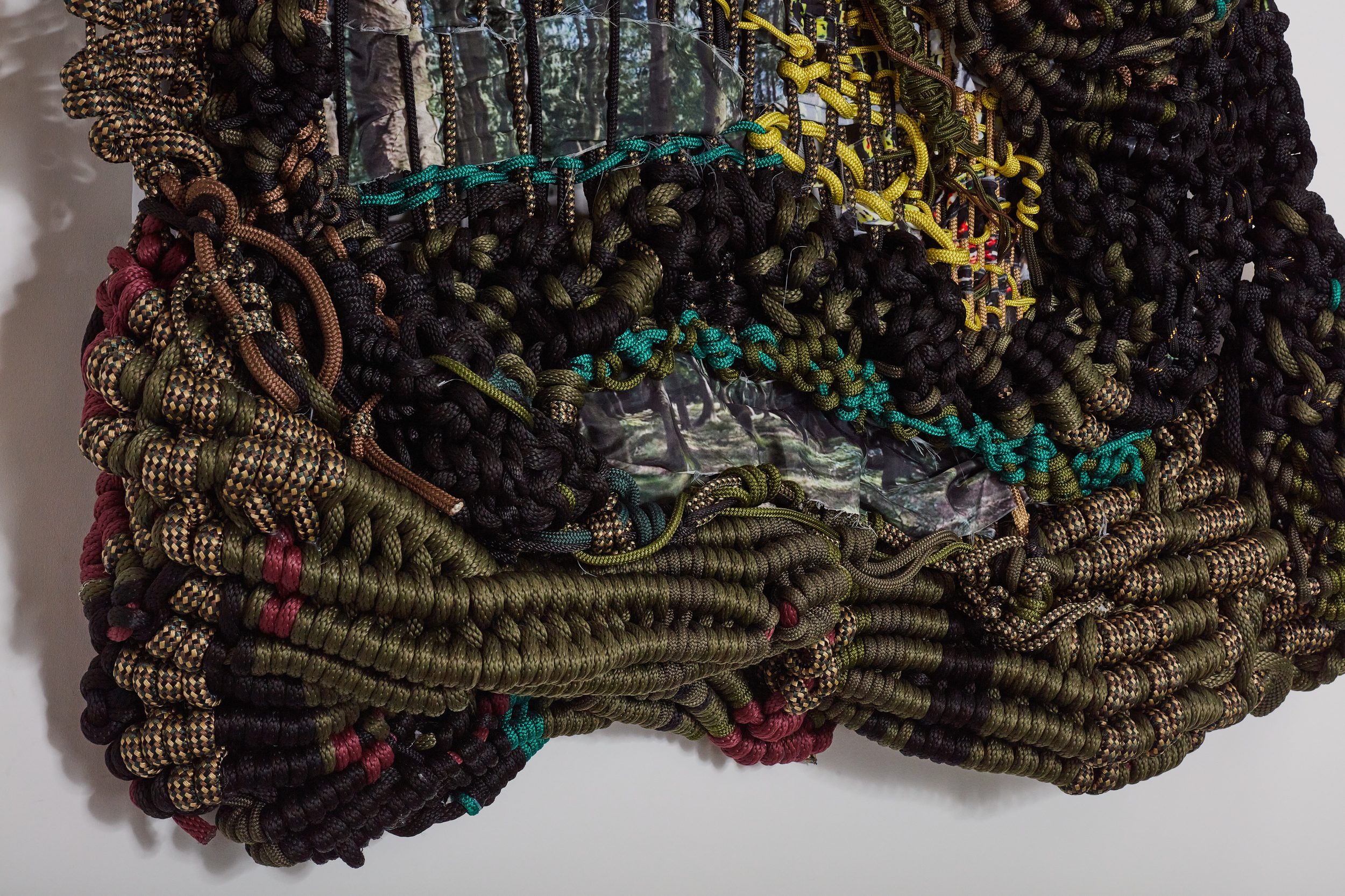 The Conversion: Rings, Rupture, and the Forest Archive (45)