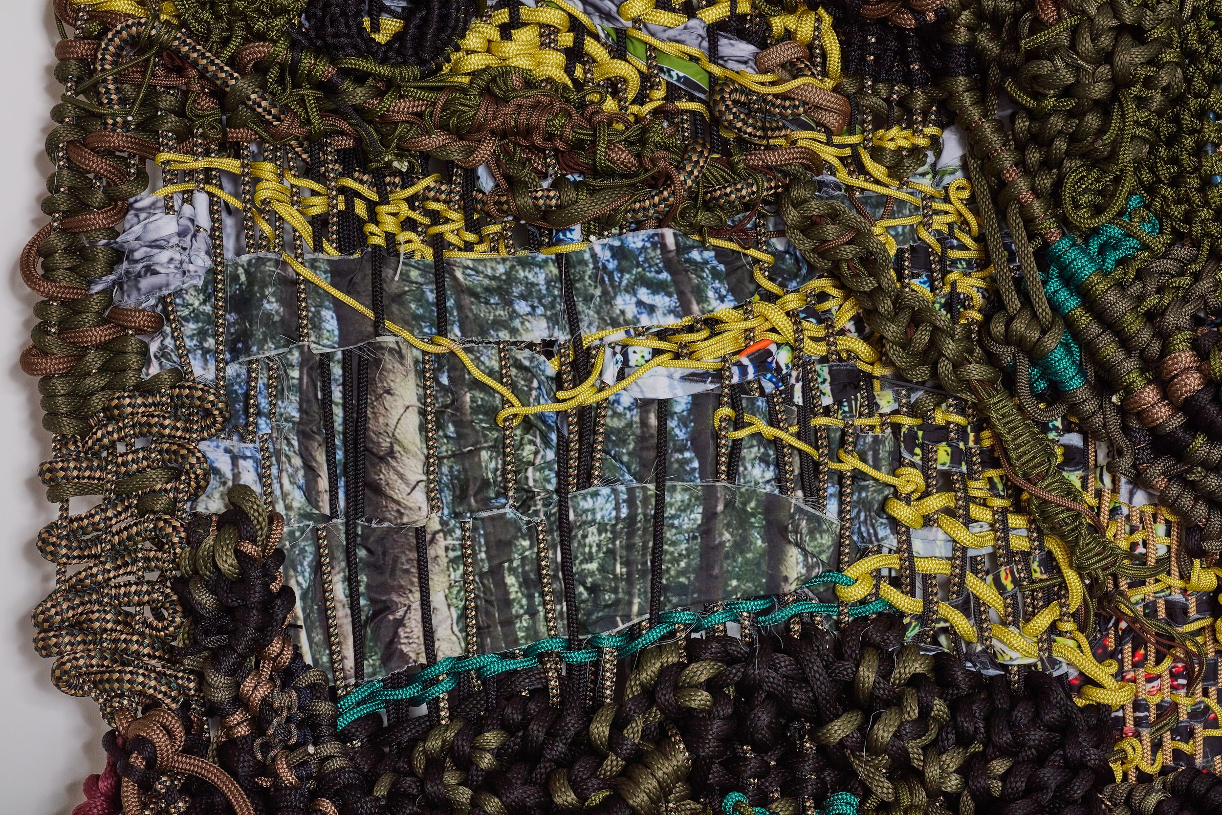 The Conversion: Rings, Rupture, and the Forest Archive (46)